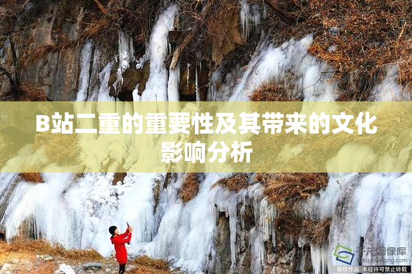 B站二重的重要性及其带来的文化影响分析