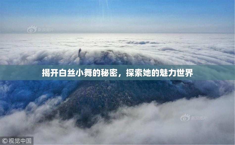 揭开白丝小舞的秘密，探索她的魅力世界