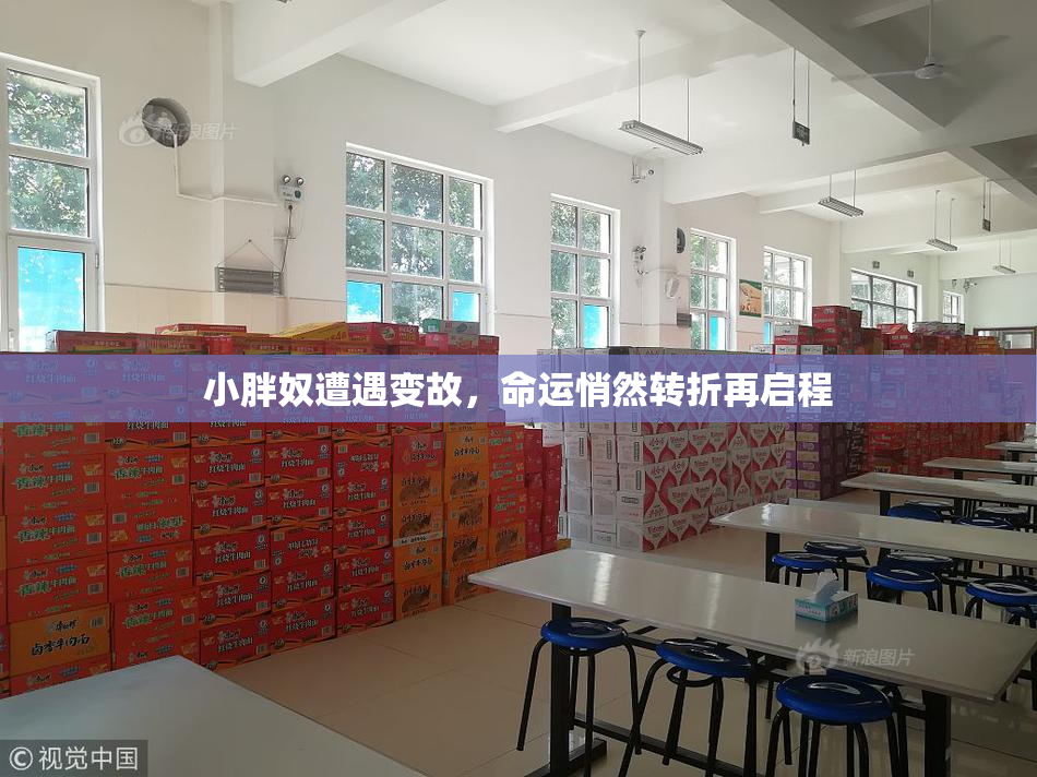 小胖奴遭遇变故，命运悄然转折再启程