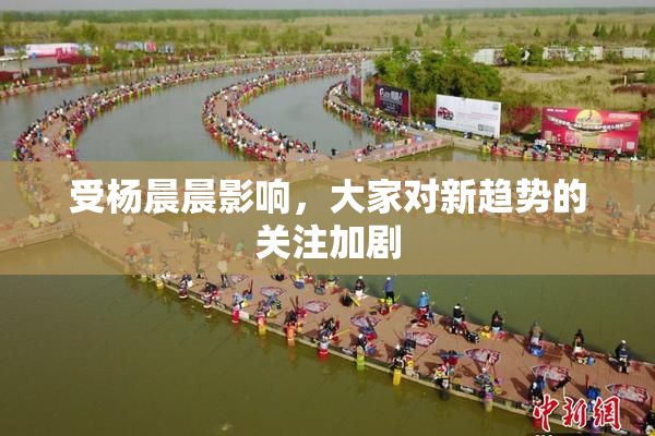 受杨晨晨影响，大家对新趋势的关注加剧