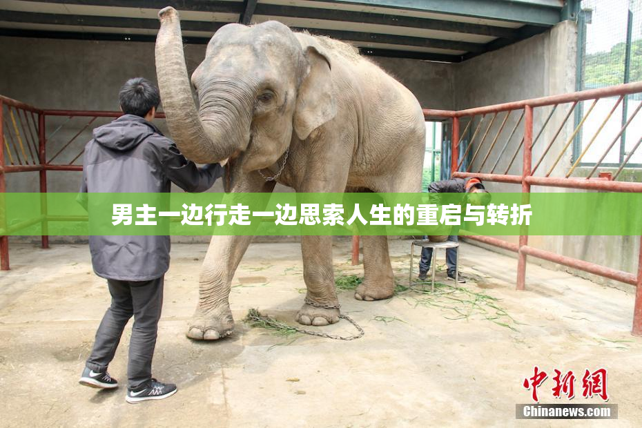 男主一边行走一边思索人生的重启与转折