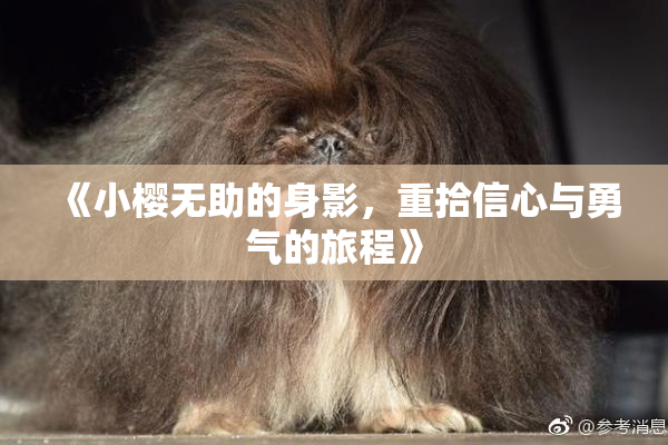 《小樱无助的身影，重拾信心与勇气的旅程》