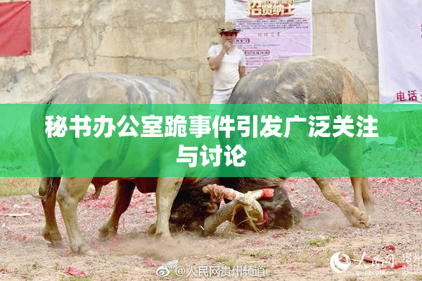 秘书办公室跪事件引发广泛关注与讨论