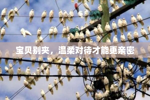 宝贝别夹，温柔对待才能更亲密