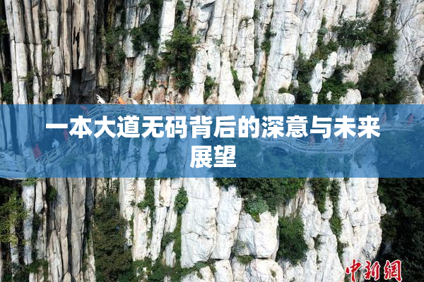 一本大道无码背后的深意与未来展望