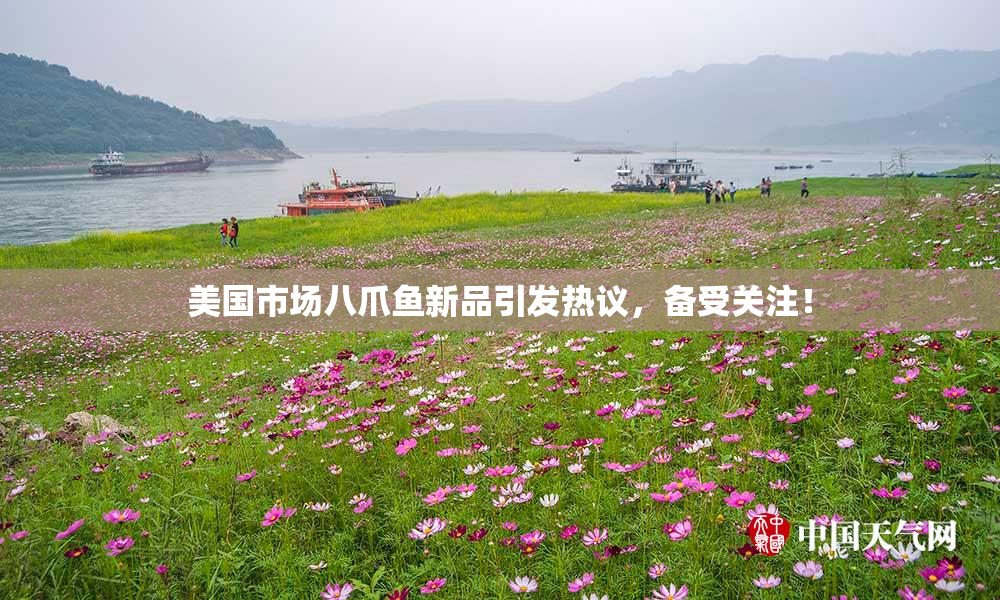 美国市场八爪鱼新品引发热议，备受关注！