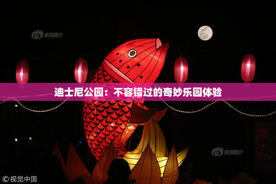 迪士尼公园：不容错过的奇妙乐园体验