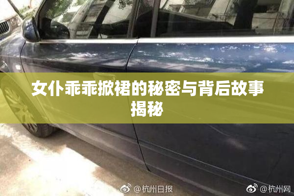 女仆乖乖掀裙的秘密与背后故事揭秘