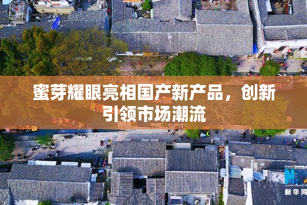 蜜芽耀眼亮相国产新产品，创新引领市场潮流