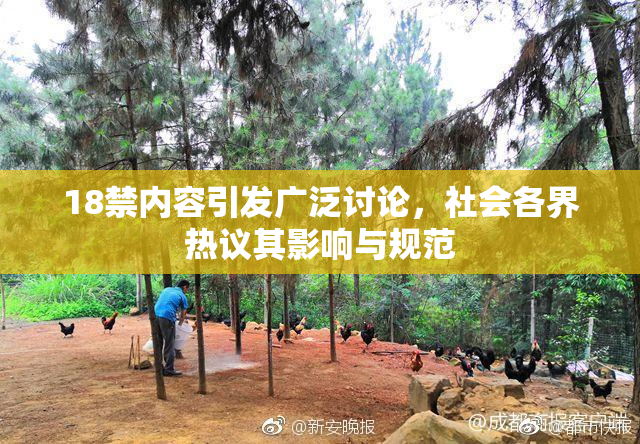 18禁内容引发广泛讨论，社会各界热议其影响与规范