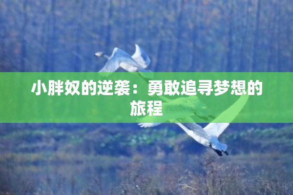 小胖奴的逆袭：勇敢追寻梦想的旅程