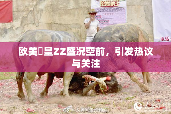 欧美嘼皇ZZ盛况空前，引发热议与关注