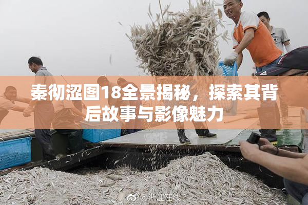 秦彻涩图18全景揭秘，探索其背后故事与影像魅力