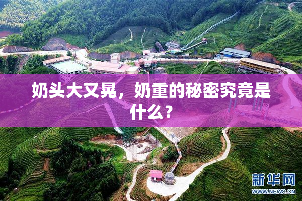 奶头大又晃，奶重的秘密究竟是什么？