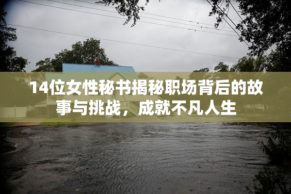 14位女性秘书揭秘职场背后的故事与挑战，成就不凡人生