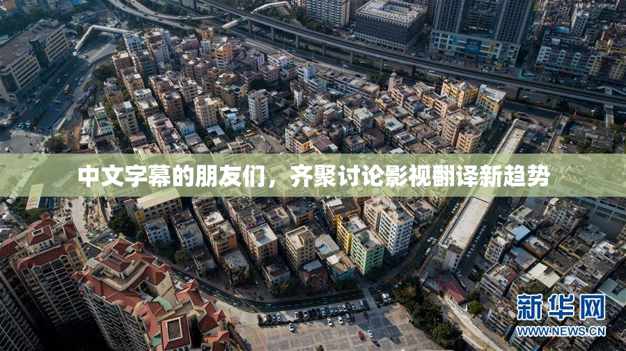 中文字幕的朋友们，齐聚讨论影视翻译新趋势