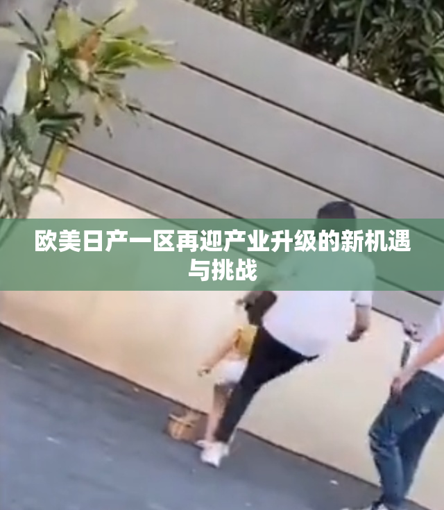 欧美日产一区再迎产业升级的新机遇与挑战