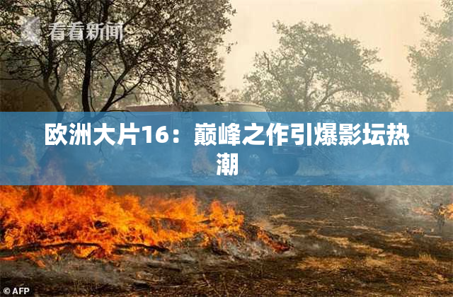 欧洲大片16：巅峰之作引爆影坛热潮