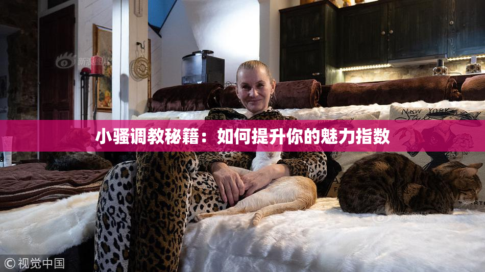 小骚调教秘籍：如何提升你的魅力指数