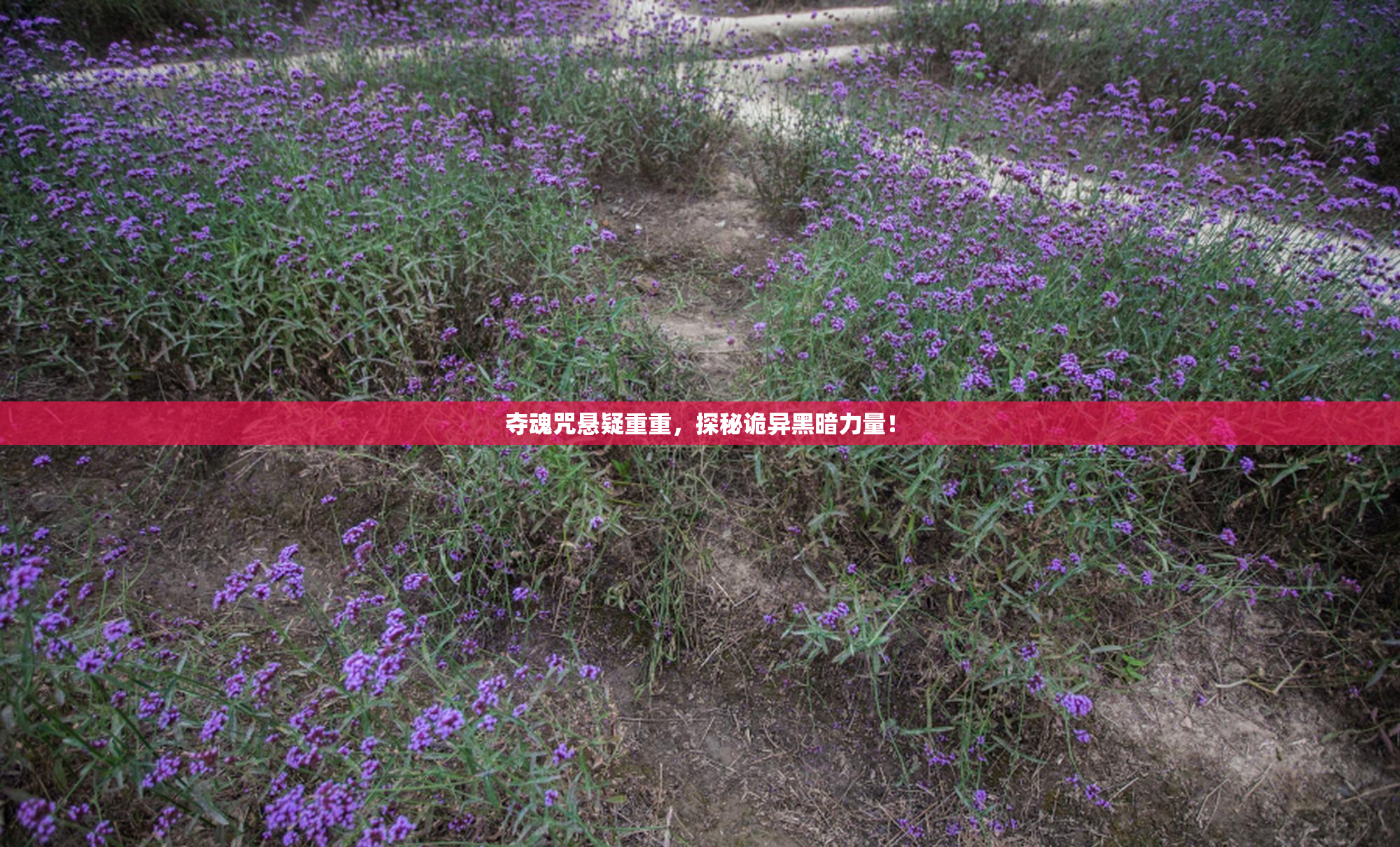 夺魂咒悬疑重重，探秘诡异黑暗力量！