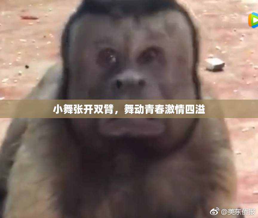 小舞张开双臂，舞动青春激情四溢
