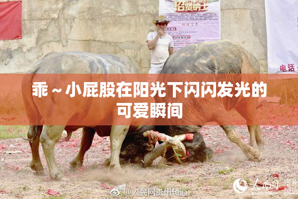乖～小屁股在阳光下闪闪发光的可爱瞬间
