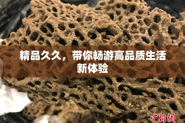 精品久久，带你畅游高品质生活新体验