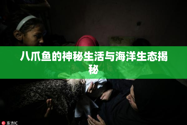 八爪鱼的神秘生活与海洋生态揭秘