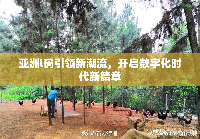 亚洲l码引领新潮流，开启数字化时代新篇章