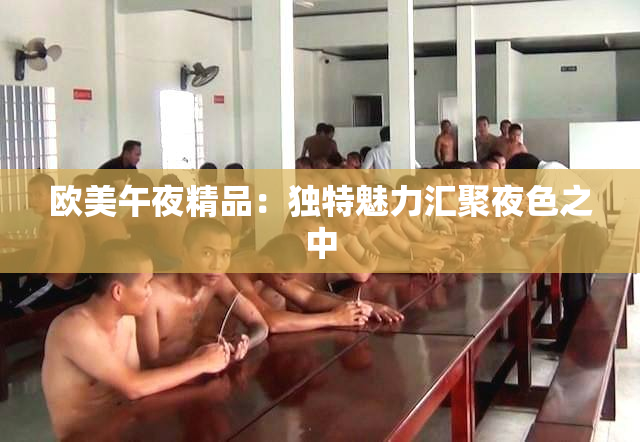 欧美午夜精品：独特魅力汇聚夜色之中