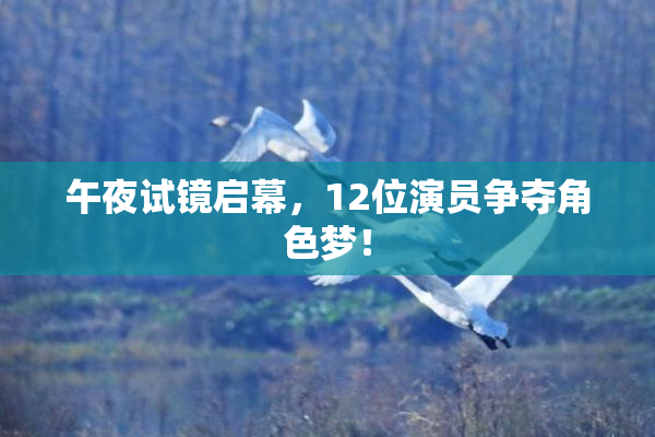 午夜试镜启幕，12位演员争夺角色梦！