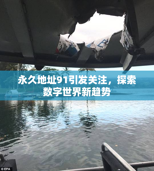 永久地址91引发关注，探索数字世界新趋势