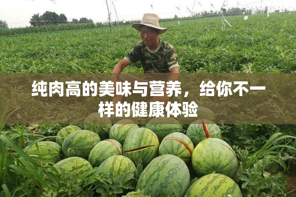 纯肉高的美味与营养，给你不一样的健康体验