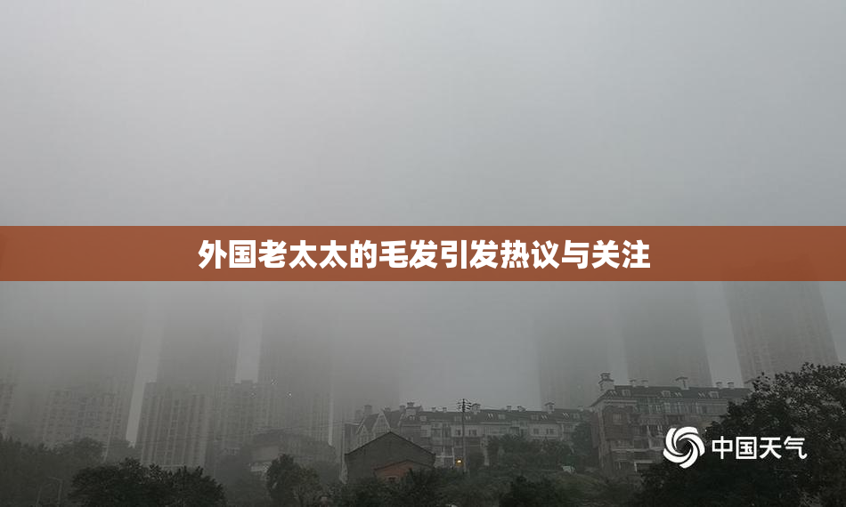 外国老太太的毛发引发热议与关注