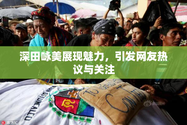 深田咏美展现魅力，引发网友热议与关注