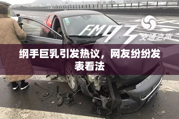 纲手巨乳引发热议，网友纷纷发表看法