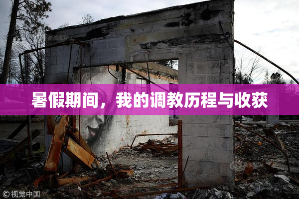 暑假期间，我的调教历程与收获