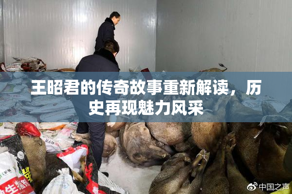 王昭君的传奇故事重新解读，历史再现魅力风采