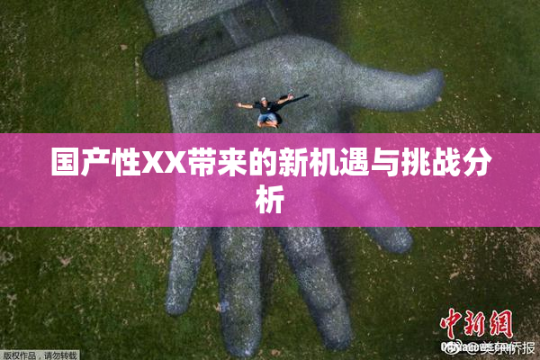 国产性XX带来的新机遇与挑战分析