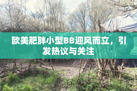 欧美肥胖小型BB迎风而立，引发热议与关注