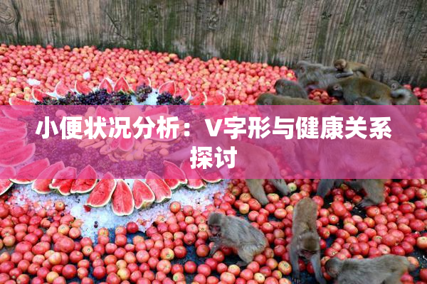 小便状况分析：V字形与健康关系探讨