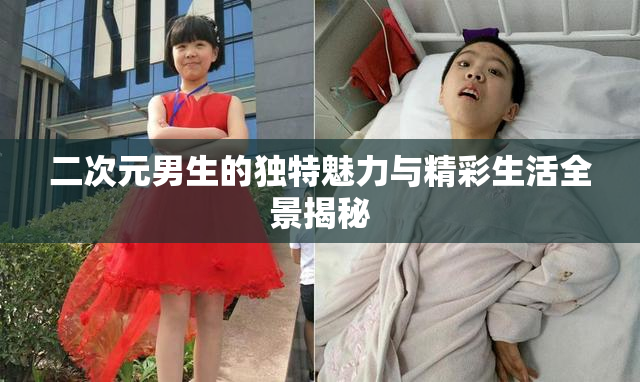 二次元男生的独特魅力与精彩生活全景揭秘
