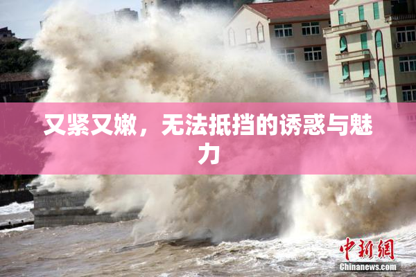 又紧又嫩，无法抵挡的诱惑与魅力