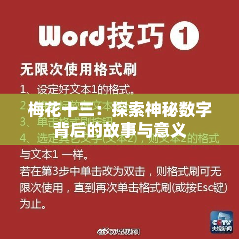 梅花十三：探索神秘数字背后的故事与意义