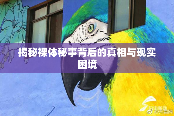 揭秘裸体秘事背后的真相与现实困境