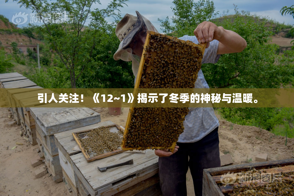 引人关注！《12~1》揭示了冬季的神秘与温暖。