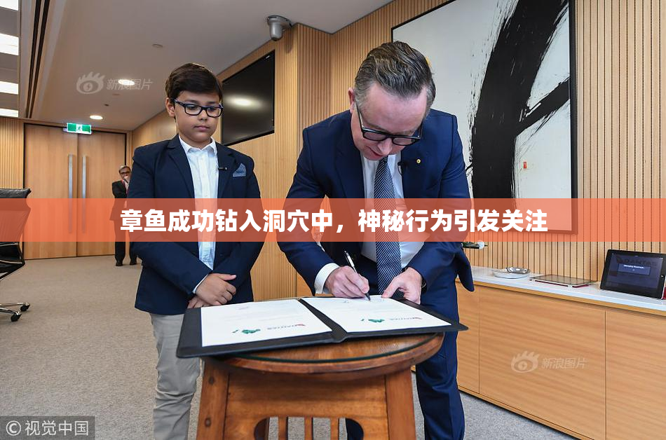 章鱼成功钻入洞穴中，神秘行为引发关注