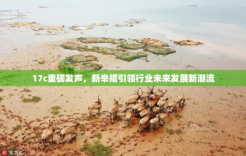 17c重磅发声，新举措引领行业未来发展新潮流