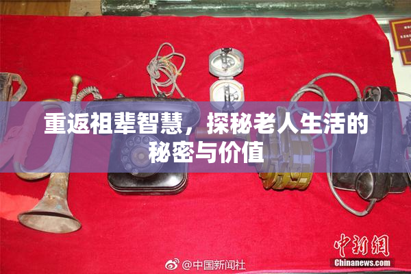 重返祖辈智慧，探秘老人生活的秘密与价值