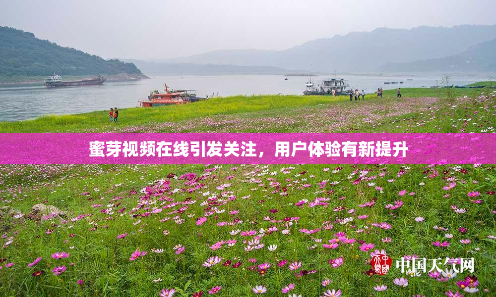 蜜芽视频在线引发关注，用户体验有新提升